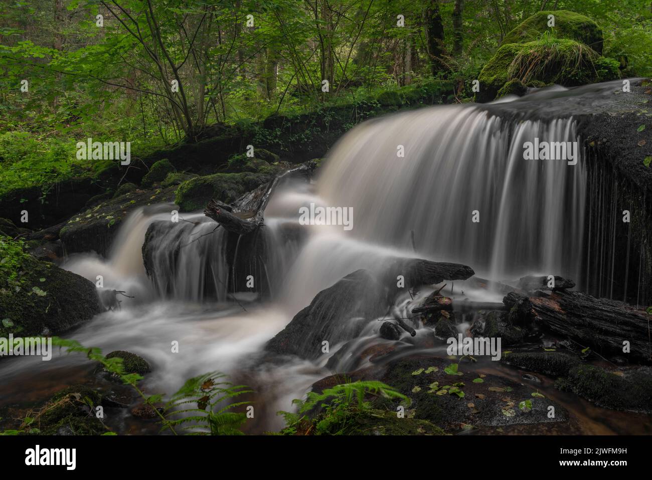 Cascata sotto la porta d'acqua nei pressi della città di Vyssi Brod in estate nuvoloso fresco giorno Foto Stock