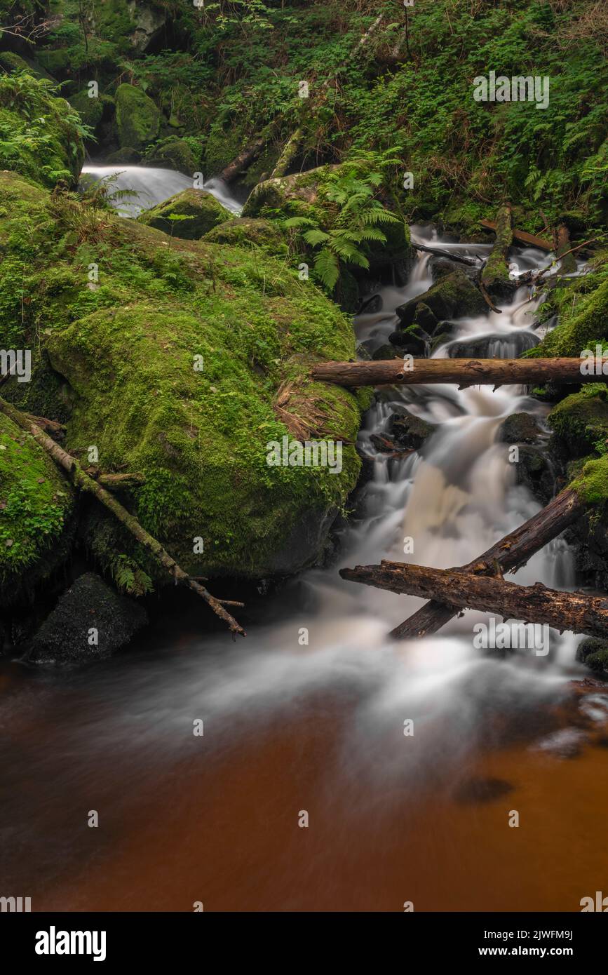Cascata di San Wolfgang nei pressi della città di Vyssi Brod nella Boemia meridionale vicino al confine con l'Austria Foto Stock