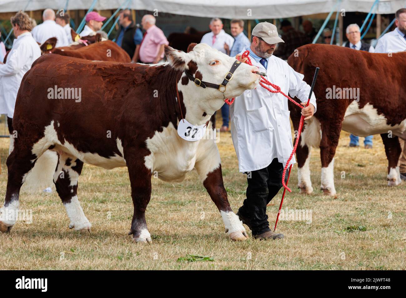 03/9/2022, Moreton, Glos, Regno Unito. Spettacolo Lodders Moreton. Photo credit: Dave Warren/Picture Team Foto Stock