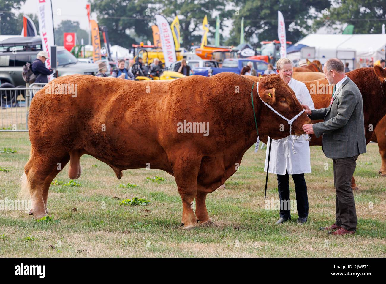 03/9/2022, Moreton, Glos, Regno Unito. Spettacolo Lodders Moreton. Photo credit: Dave Warren/Picture Team Foto Stock