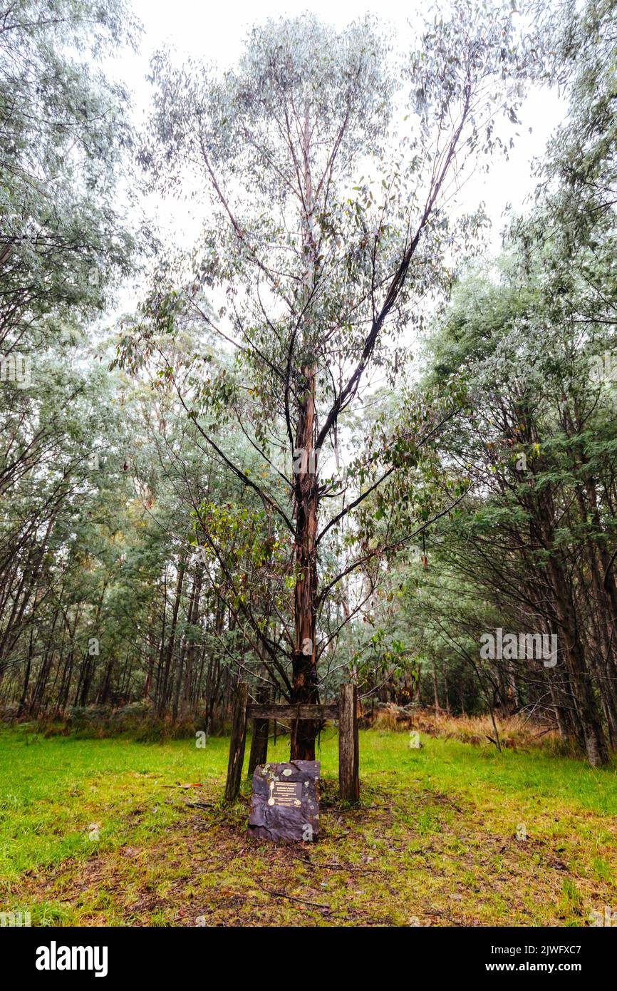 Cambarville Villaggio storico in Victoria Australia Foto Stock