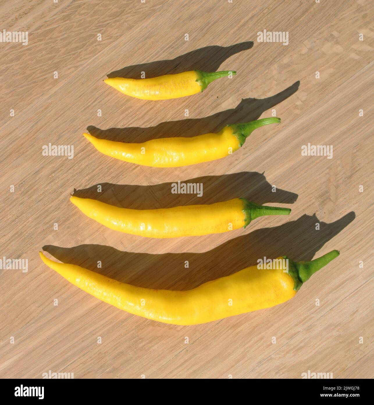 Un gruppo di peperoni caldi gialli di lunghezze diverse Foto Stock