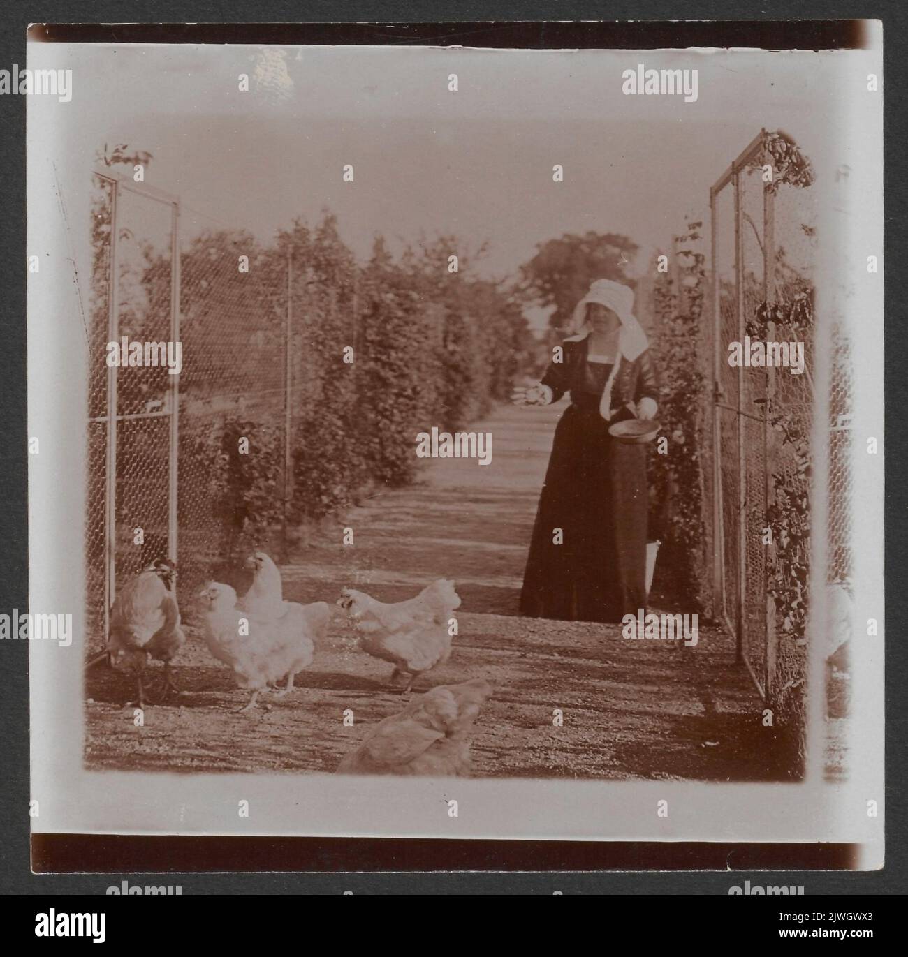 Helena Paderewska (1856-1934) alla sua fattoria di pollo di razza a Riond-Bosson vicino a Morges in Svizzera. Sconosciuto, fotografo Foto Stock