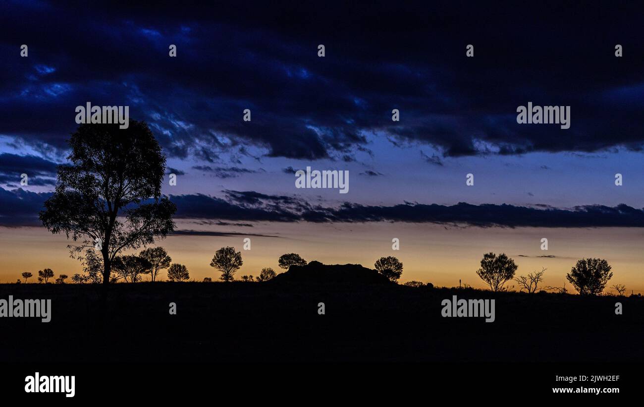 Silhouette di alberi al tramonto, come si vede da Silverton Road nell'Outback Foto Stock