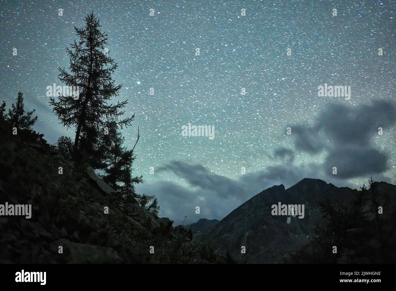 Cielo stellato sopra la riserva di Katunsky nelle montagne di Altai appena quattro ore in aereo da Mosca e vi trovate in un mondo completamente diverso: Il mondo delle montagne giovani maestose, le valli verdi collinari ampie, le foreste di cedro, i fiumi turbolenti e i laghi glaciali. Altai! Foto Stock