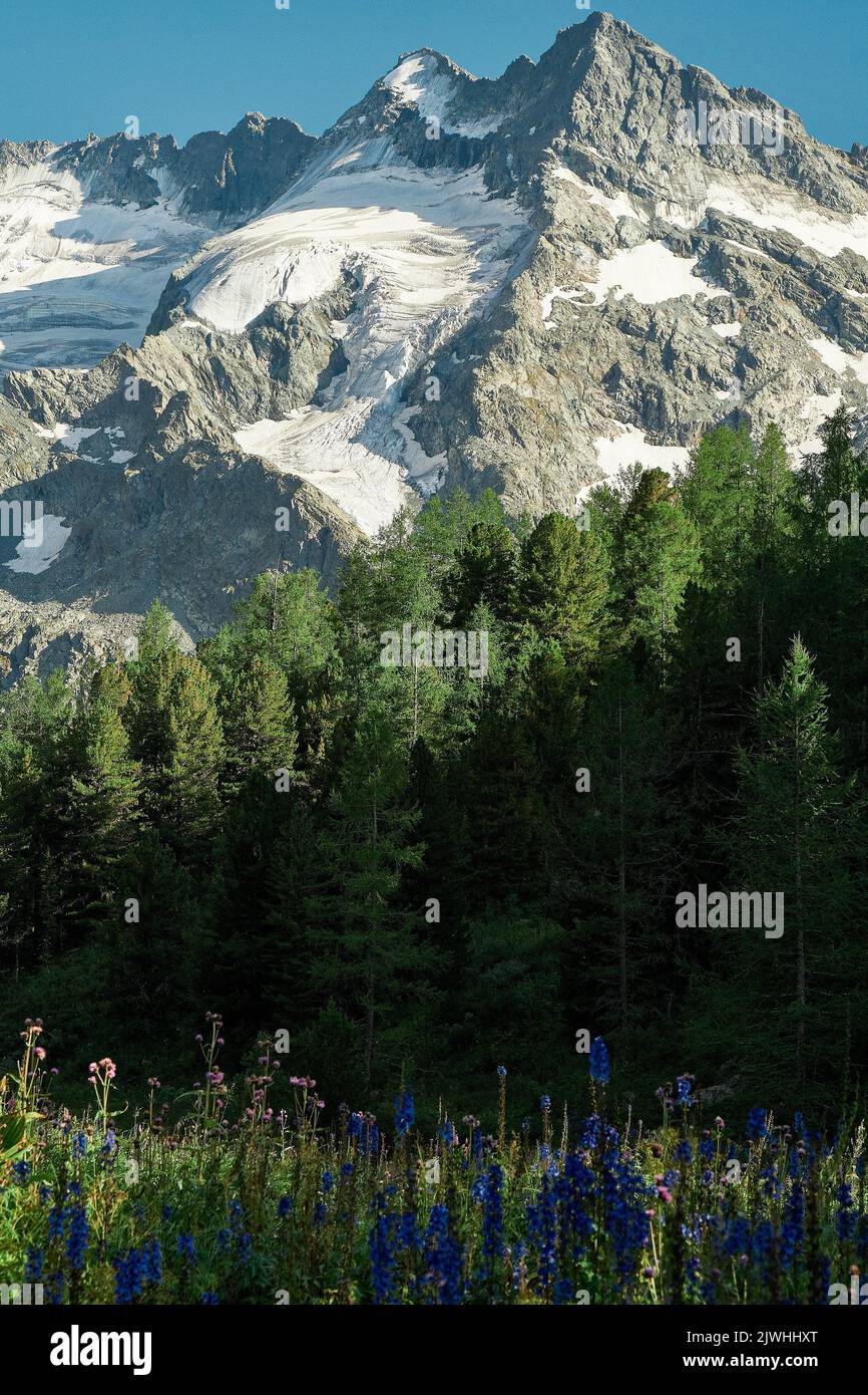 Katunsky riserva, Russia. 6th ago, 2022. I raggi del sole che tramonta sulle cime delle montagne dell'Altai.appena quattro ore di aereo da Mosca, e vi trovate in un mondo completamente diverso: Il mondo delle montagne giovani maestose, le ampie valli verdi collinari, le foreste di cedro, i fiumi turbolenti e i laghi glaciali. Altai! (Credit Image: © Mihail Siergiejevicz/SOPA Images via ZUMA Press Wire) Foto Stock