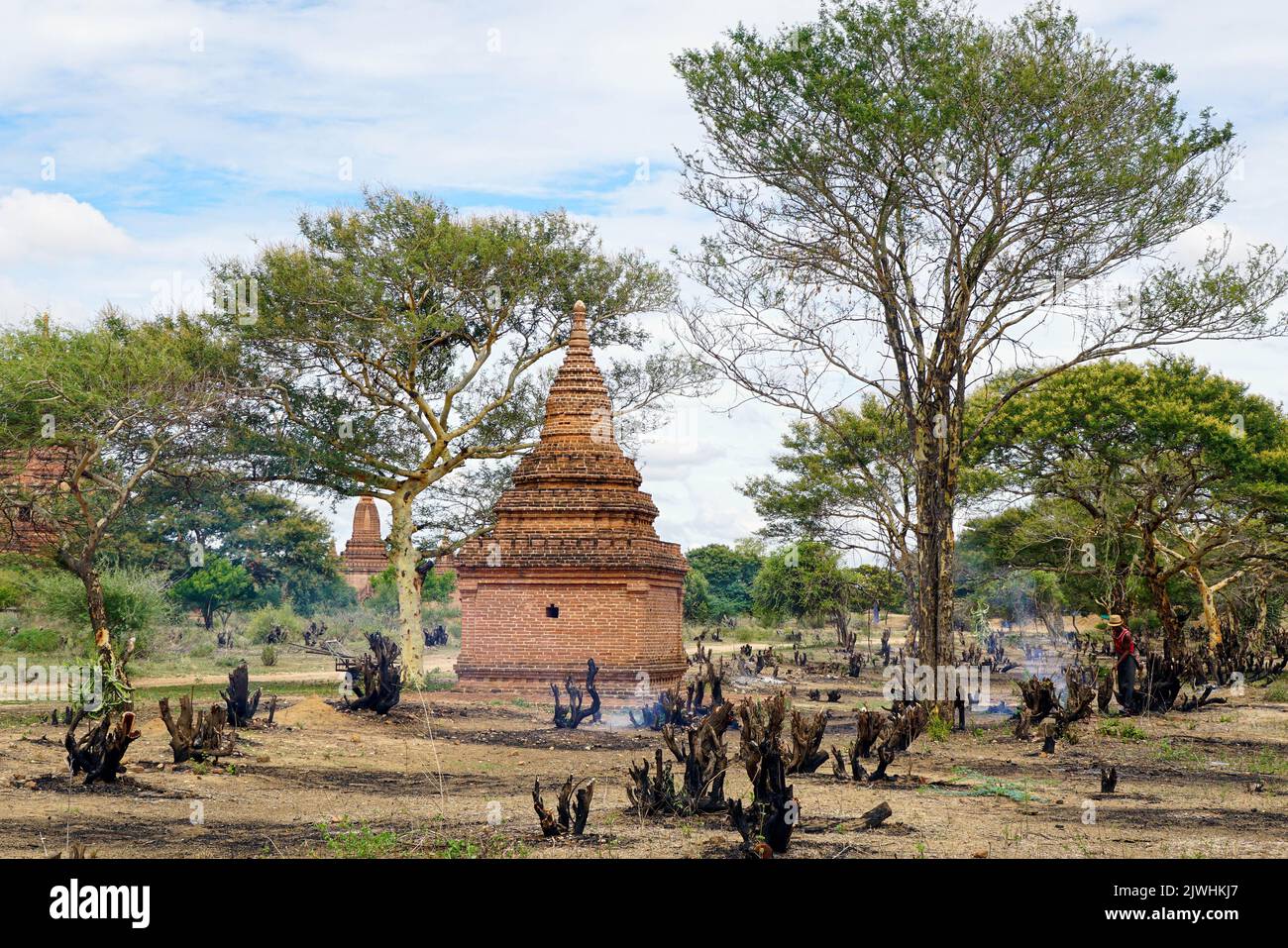 Bagan, Myanmar. 13th ago, 2022. Un uomo taglia e brucia gli alberi di fronte ad una pagoda a Bagan per liberare la vista della struttura. 'Città di mille pagode' è ciò che Bagan è chiamato. Il sito patrimonio dell'umanità è considerato uno dei più importanti siti di templi in tutto il sud-est asiatico. Per molti in Myanmar, il turismo era la principale fonte di reddito. Dopo il colpo di stato militare, nessuno viene più - e la disperazione è grande. (A dpa: Pagode orfane a Bagan: Myanmar e la fine del sogno turistico) Credit: Sai Nyi Phyu/-/dpa/Alamy Live News Foto Stock