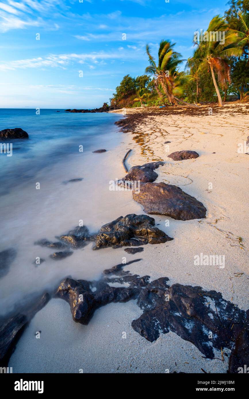 Palme che fiancheggiano la spiaggia di sabbia tropicale alla luce del mattino presto. Nanuya Lai Lai Island, Yasawa Group, Figi Foto Stock