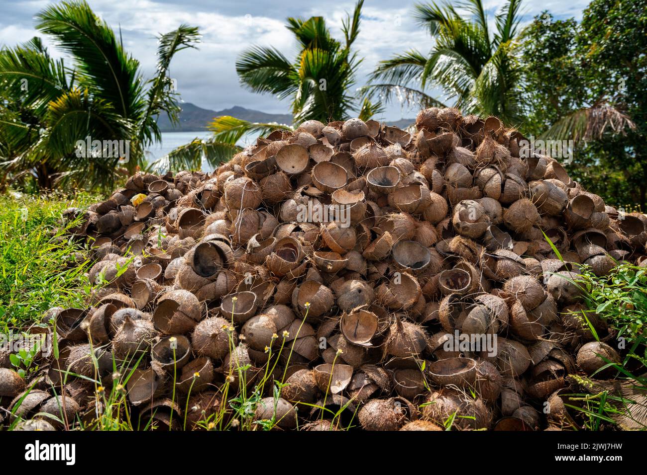 Mucchio di conchiglie di cocco vuote dopo essere stato lavorato per far rimuovere il copra. Isola di Yasawa, Figi Foto Stock