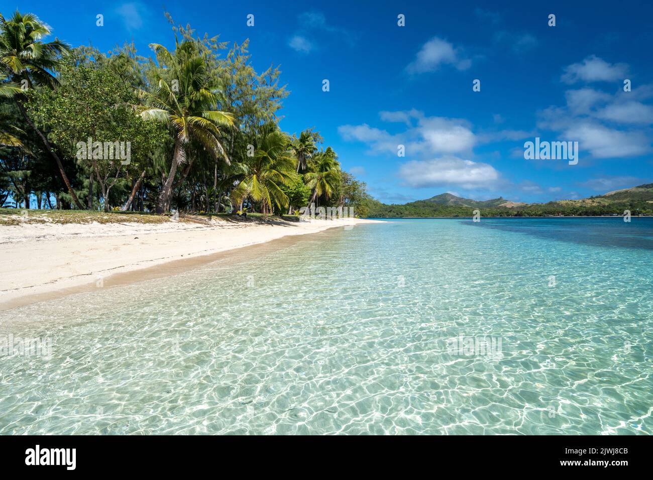 Palme che fiancheggiano una spiaggia di sabbia bianca a Blue Lagoon, Nanuya Island, Yasawa Group, Fiji Foto Stock