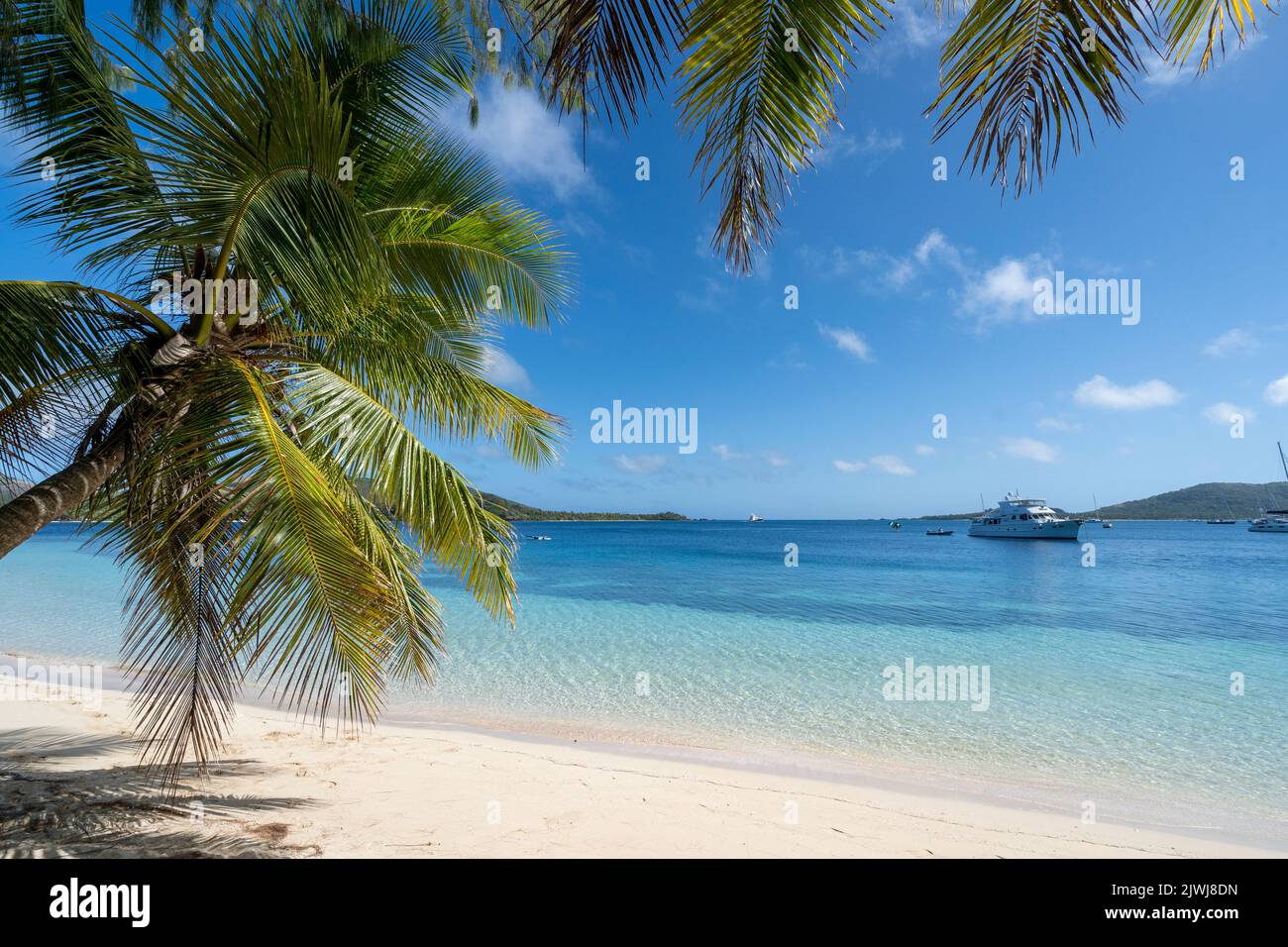 Palme che fiancheggiano una spiaggia di sabbia bianca a Blue Lagoon, Nanuya Island, Yasawa Group, Fiji Foto Stock