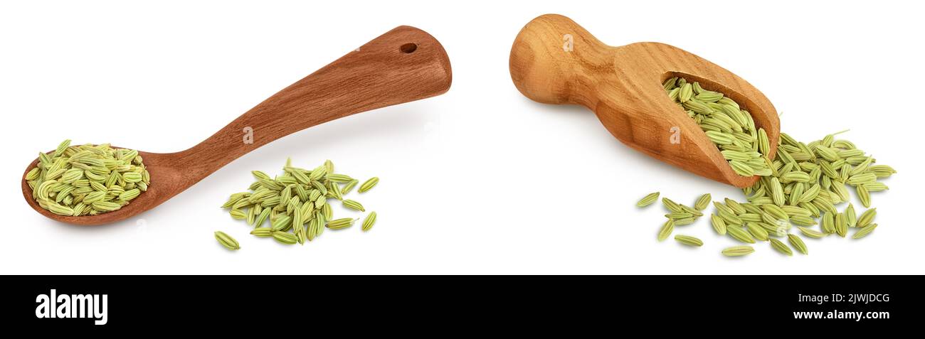 Semi di finocchio secchi in cucchiaio di legno isolato su fondo bianco con profondità di campo completa Foto Stock