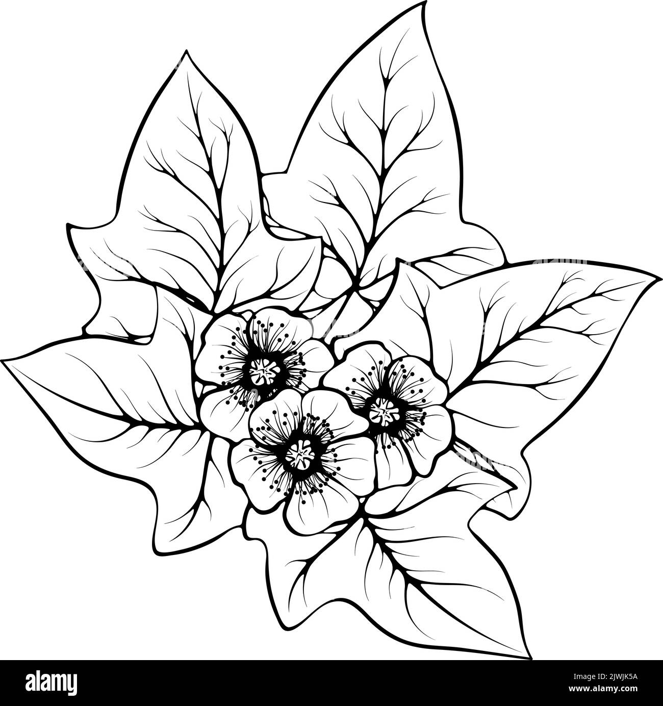 Fiori di coppa e la linea d'edera arte Illustrazione Vettoriale