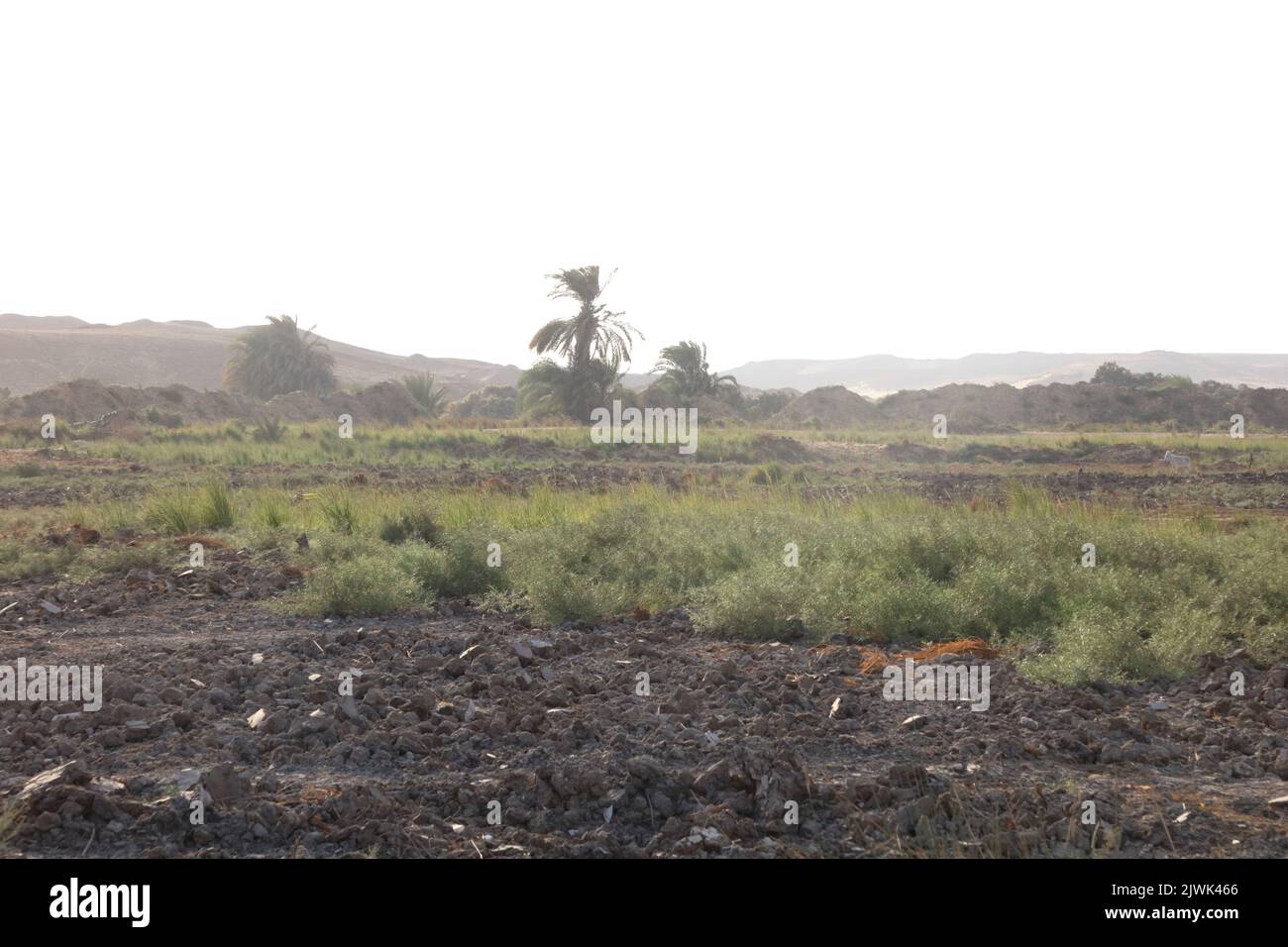 Zona di Dahshour Foto Stock
