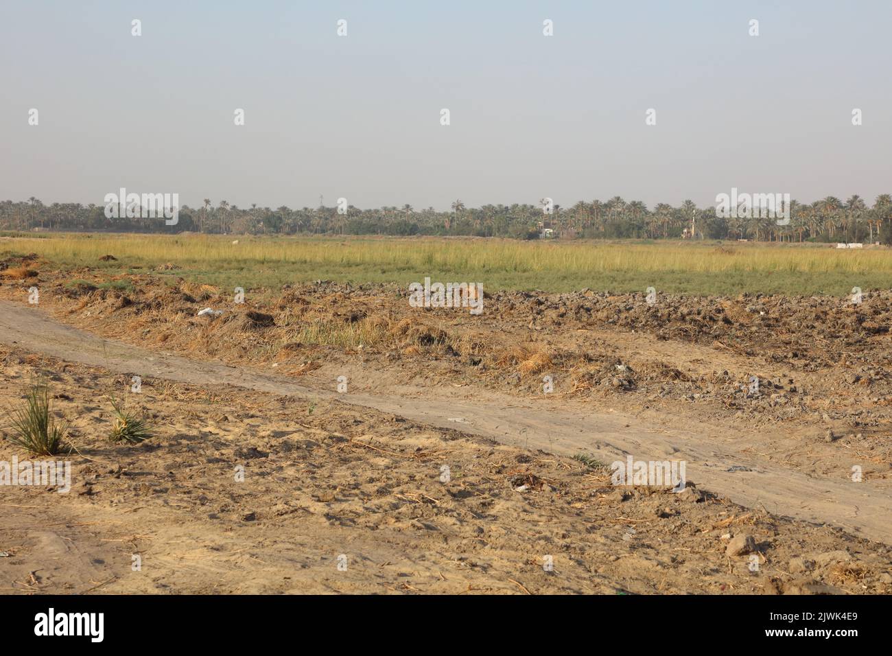 Zona di Dahshour Foto Stock