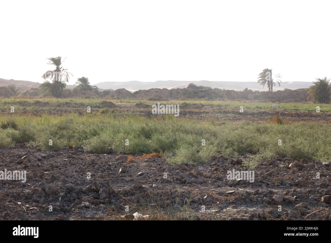 Zona di Dahshour Foto Stock