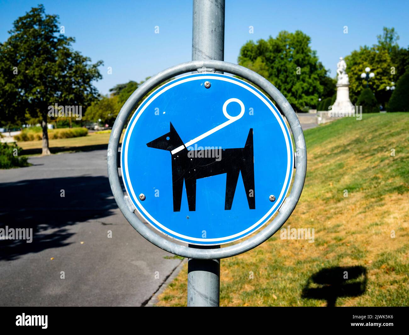 Cartello di divieto: Cani non ammessi (Losanna, Svizzera) Foto Stock