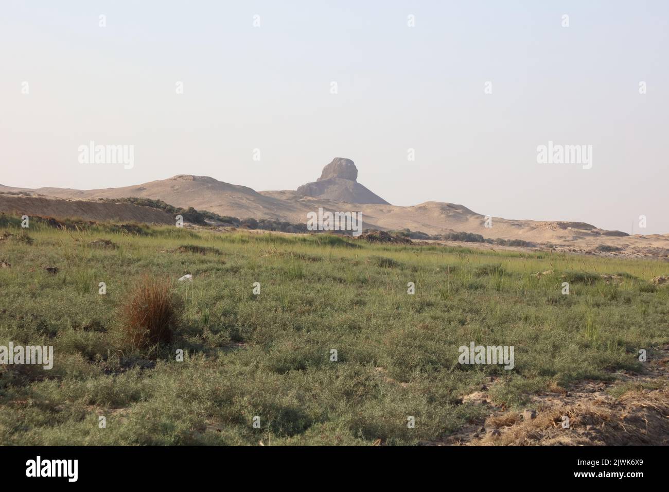 Area Archiologica Foto Stock