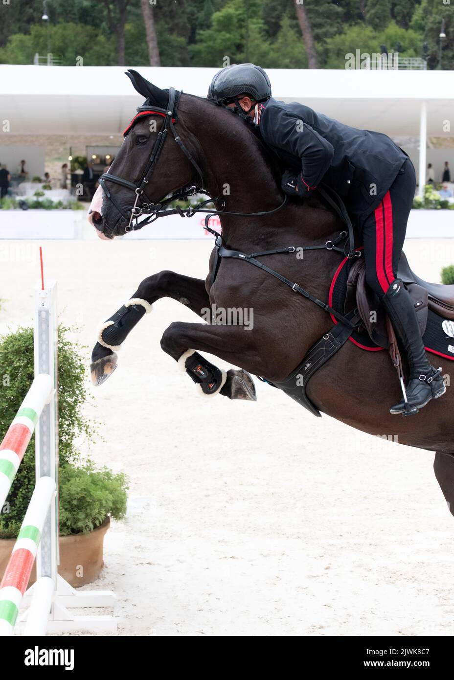 Vista laterale del movimento di salto del cavallo da vicino durante la concorrenza equestre. Roma, Italia, 2-4 settembre 2022, Campionato Equestre Jumping Foto Stock