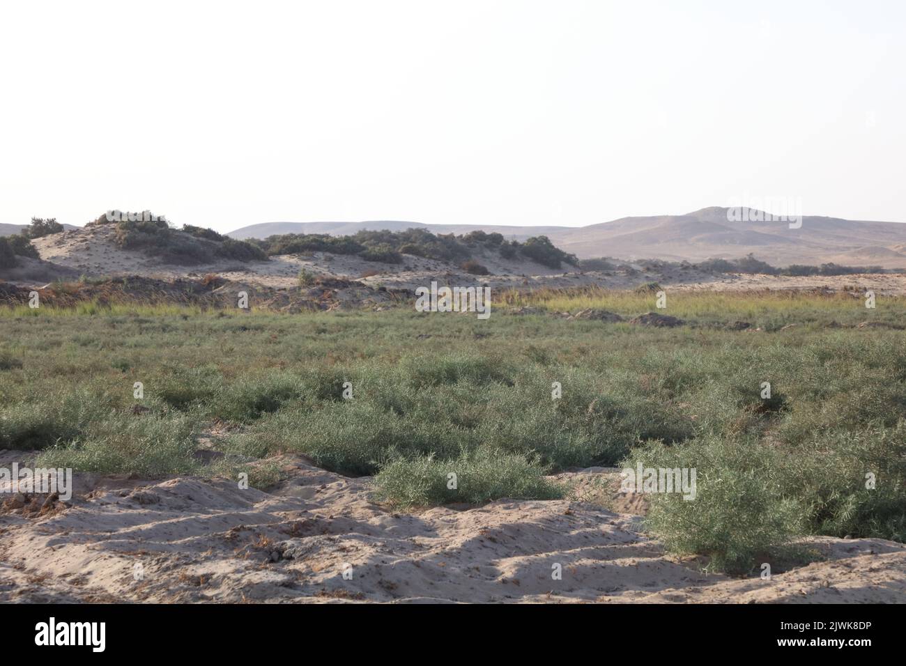 Zona di Dahshour Foto Stock