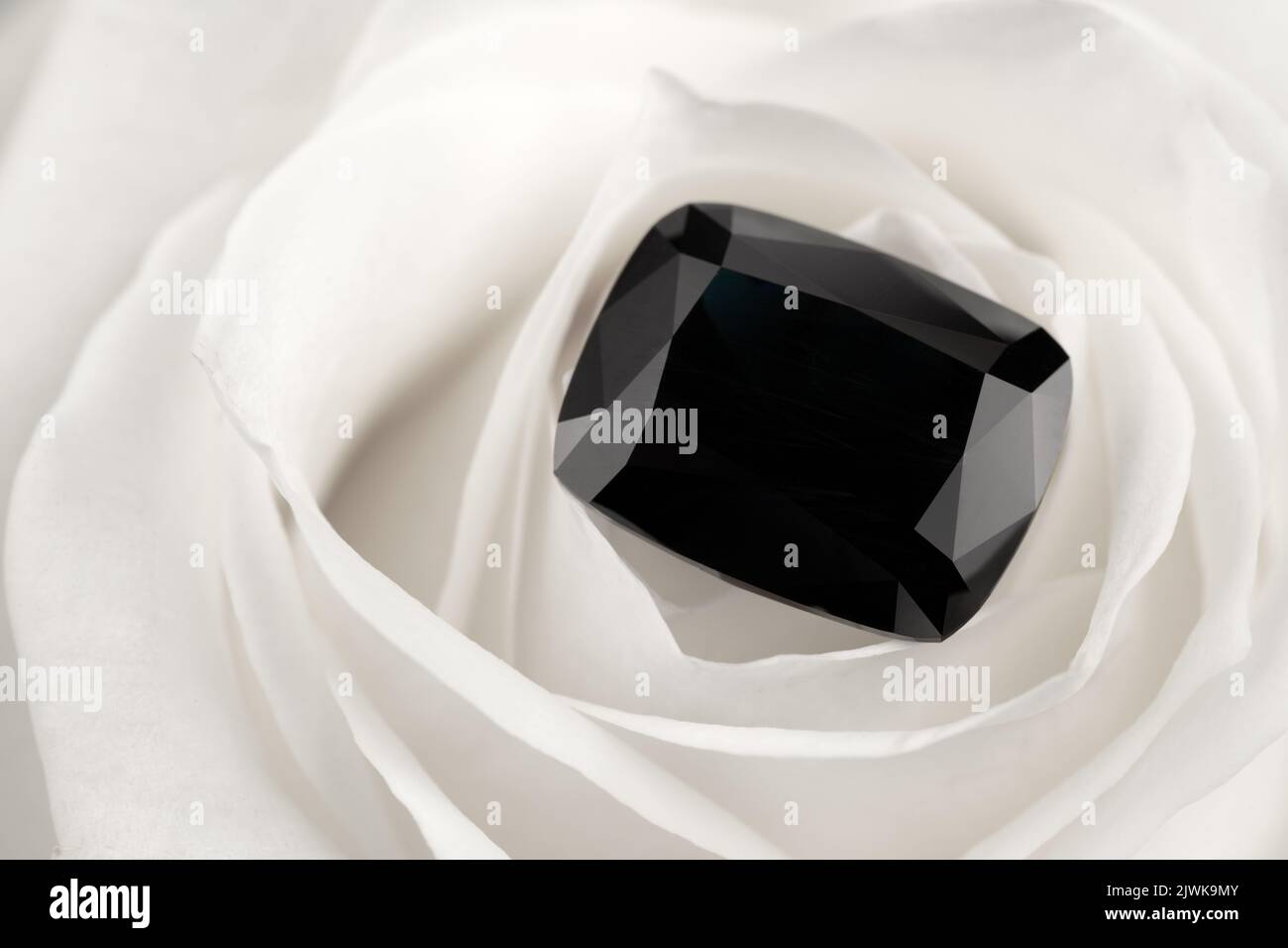 Gemma nera preziosa su fiore di rosa bianca Foto Stock