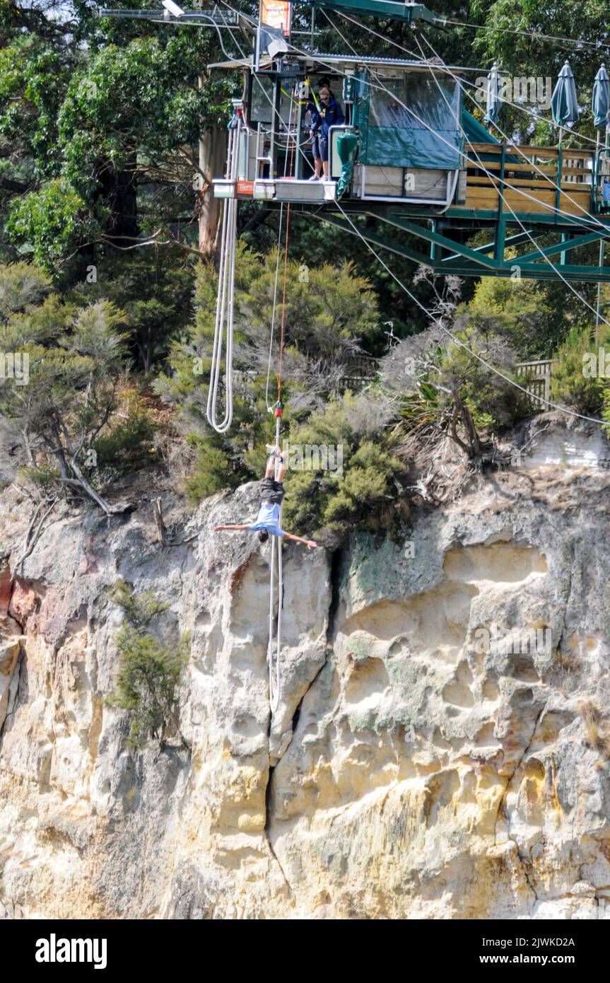 Un ponticello di bungy collegato con un cavo elastico, tuffa 47 metri sotto nel fiume di Waikato (il più lungo della Nuova Zelanda) dal nuovo Hanger di scogliera di Taupo Foto Stock