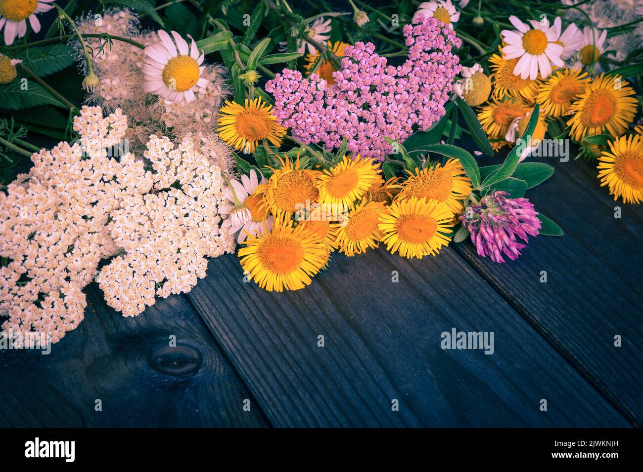 Fiori selvatici su legno di fondo grunge. Foto Stock