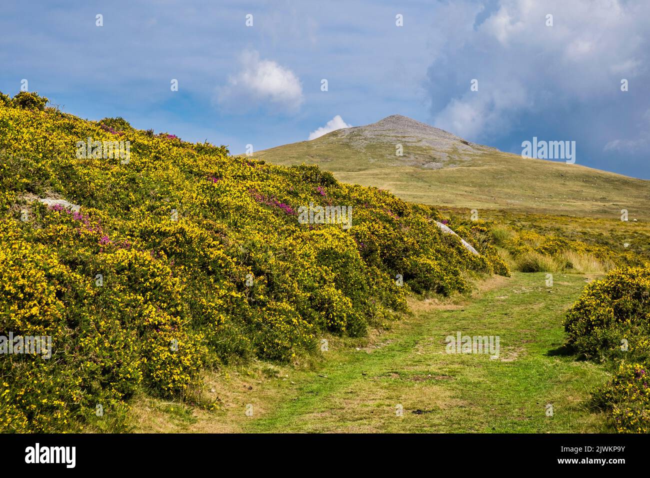 Vista sulla collina rocciosa di Gyrn dal sentiero accanto al Mowl Faban nel Parco Nazionale di Snowdonia in estate. Bethesda, Gwynedd, Galles settentrionale, Regno Unito, Gran Bretagna Foto Stock