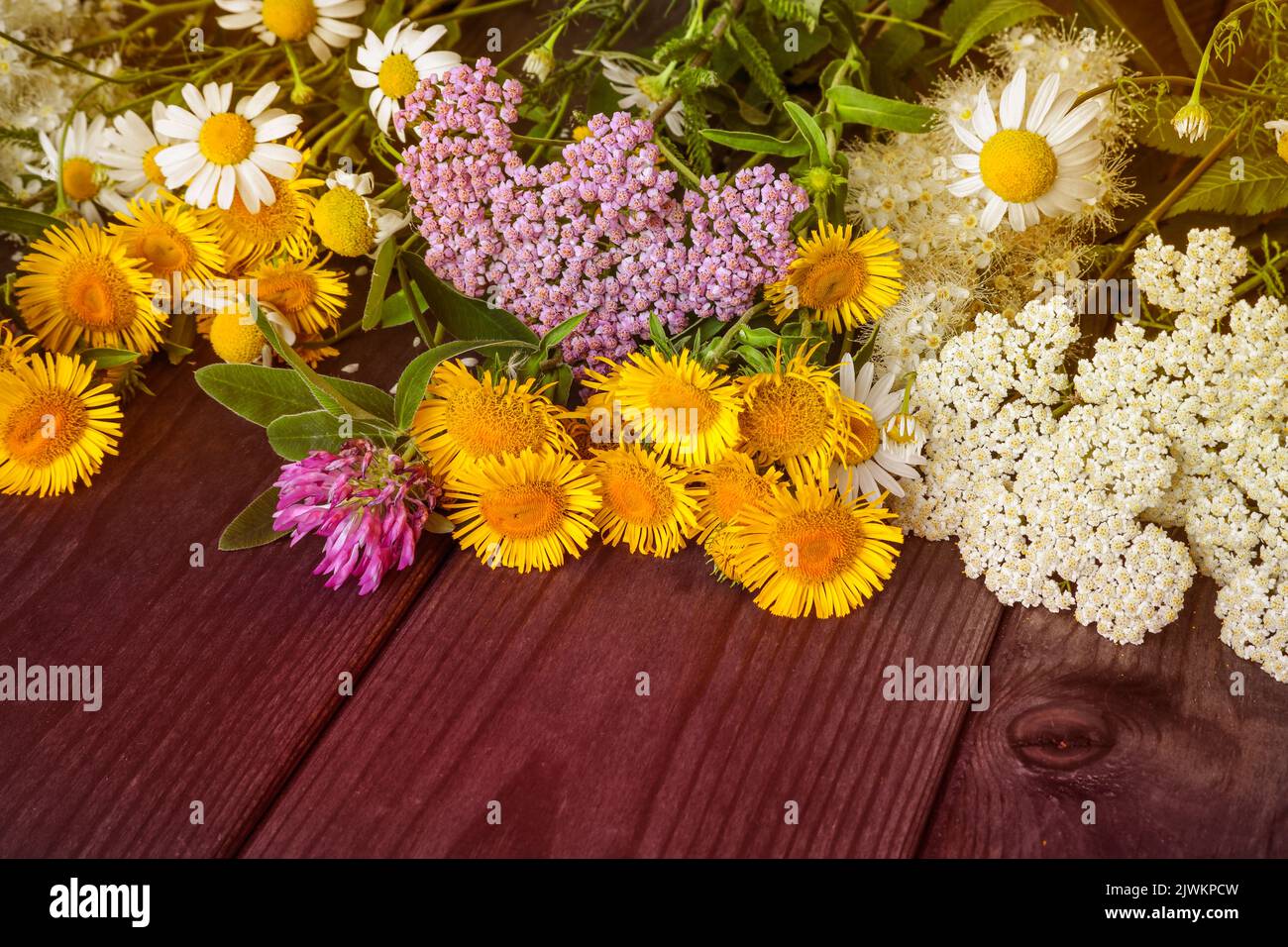 Sfondo floreale naturale, un bouquet di fiori selvatici su un tavolo di legno. Foto Stock