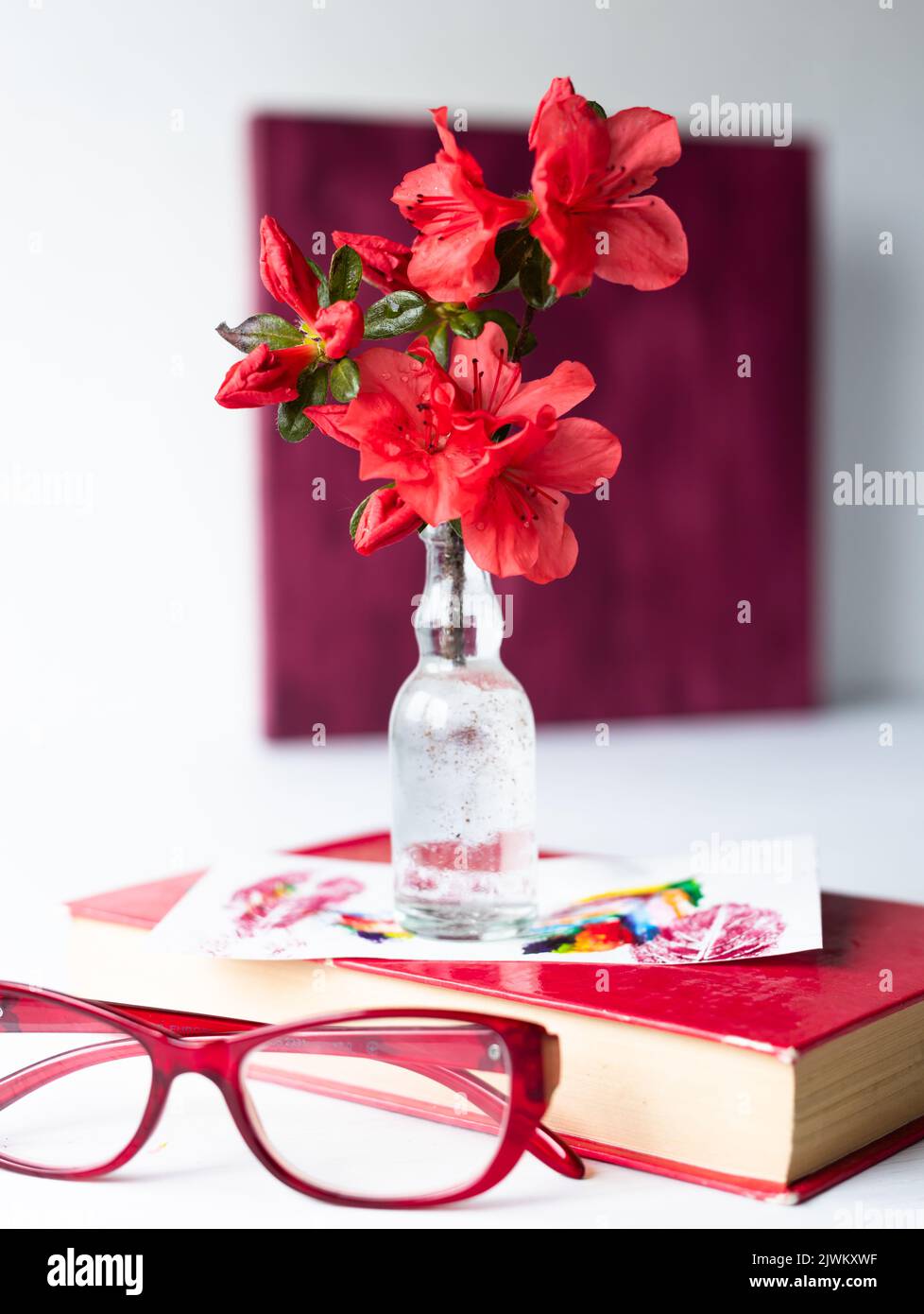 Un ramo di una azalea fiorente in un vaso di vetro sullo sfondo di un quadro botanico, un erbario di fiori di azalea secchi. Fiori rossi monochro Foto Stock
