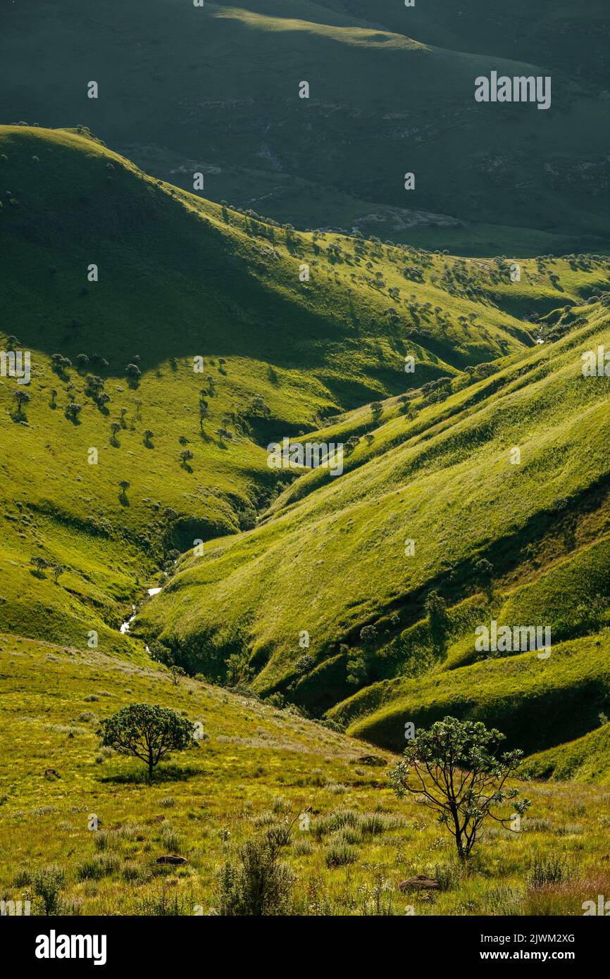 Drakensberg Mountains, Royal Natal National Park, Provincia di KwaZulu-Natal, Sudafrica Foto Stock