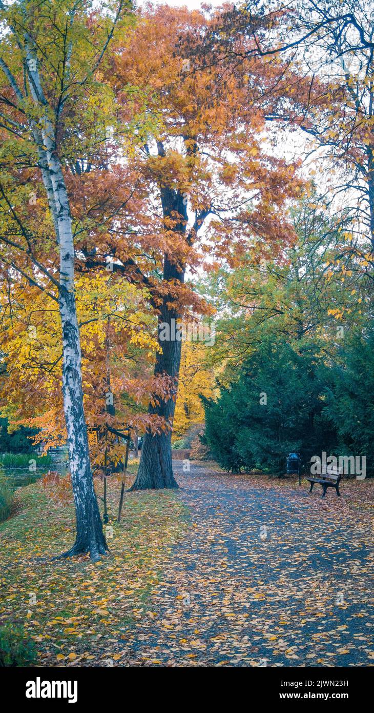 È uno dei luoghi più popolari per passeggiate. Oltre a poche centinaia di piante originali, alberi, cespugli e fiori, ci sono anche buil giapponese Foto Stock