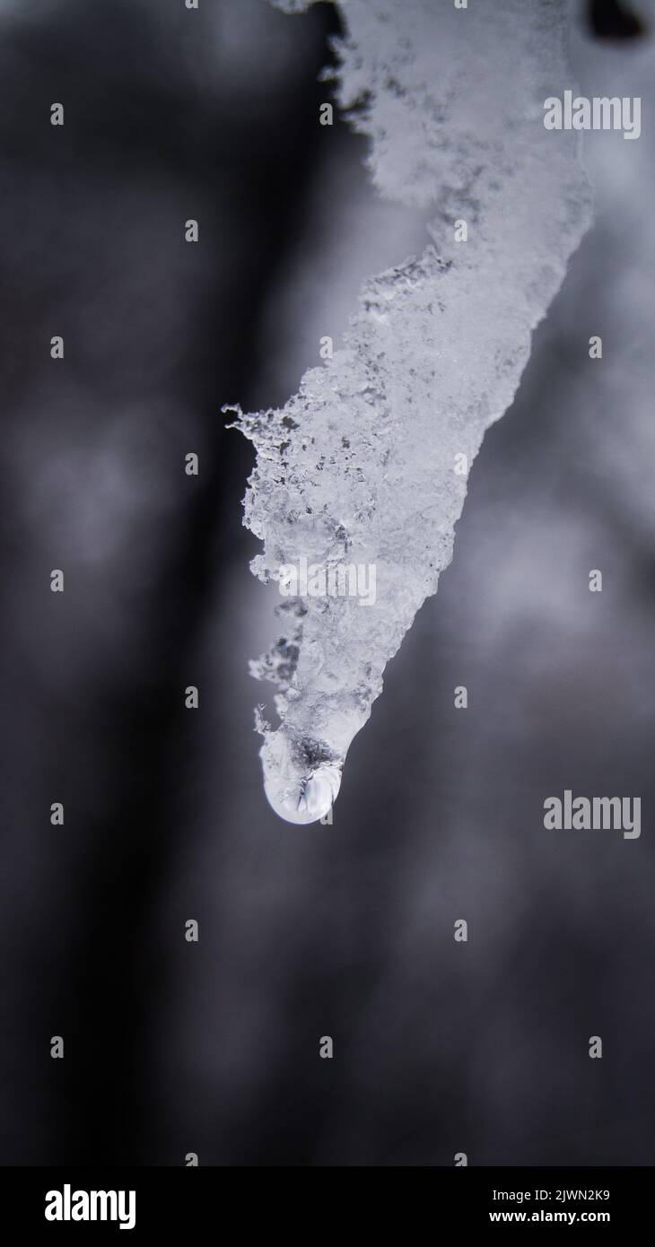 Gocciolamento di acqua dal ghiaccio all'inizio della primavera Foto Stock