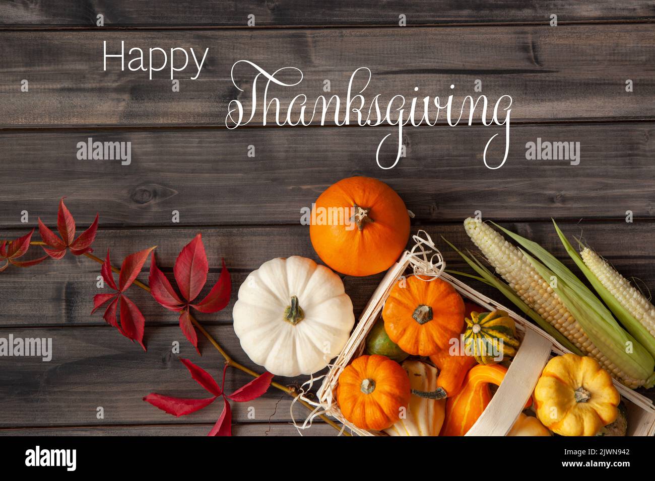 Felice Ringraziamento. Decorazione autunnale con zucche su sfondo in legno Foto Stock