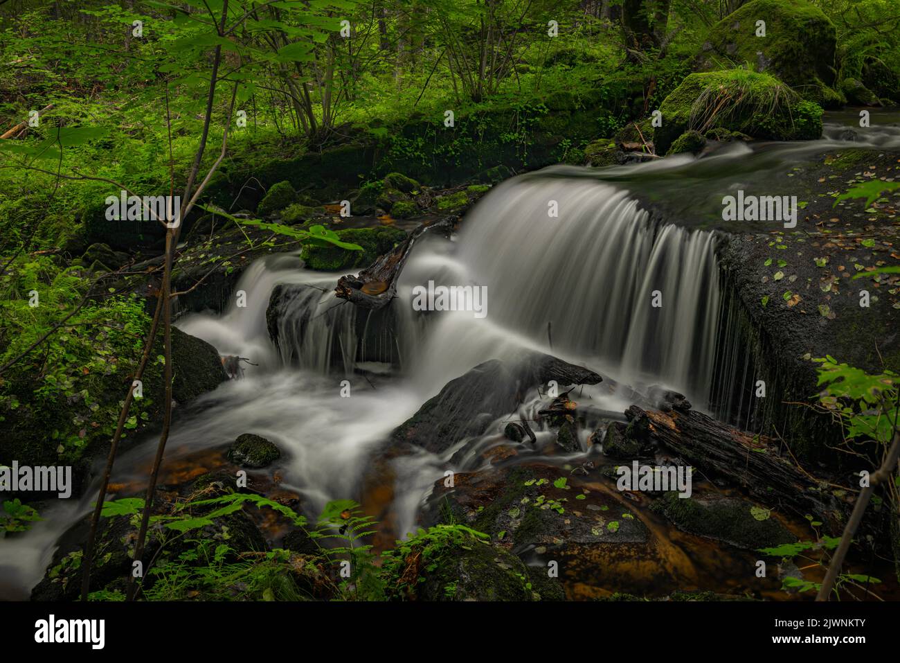 Cascata sotto la porta d'acqua nei pressi della città di Vyssi Brod in estate nuvoloso fresco giorno Foto Stock