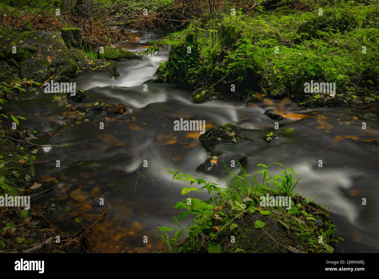 Cascata sotto la porta d'acqua nei pressi della città di Vyssi Brod in estate nuvoloso fresco giorno Foto Stock
