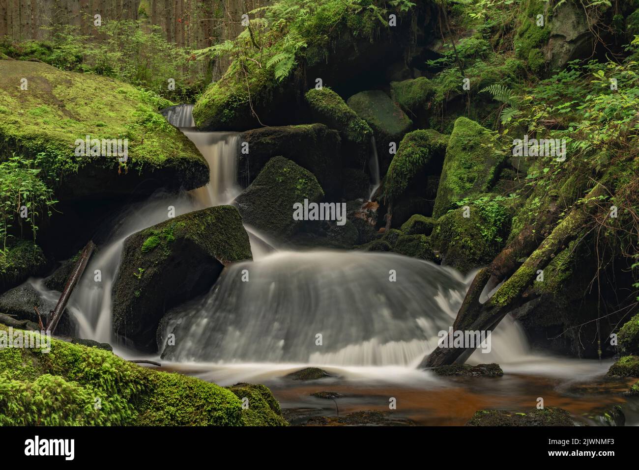 Cascata di San Wolfgang nei pressi della città di Vyssi Brod nella Boemia meridionale vicino al confine con l'Austria Foto Stock