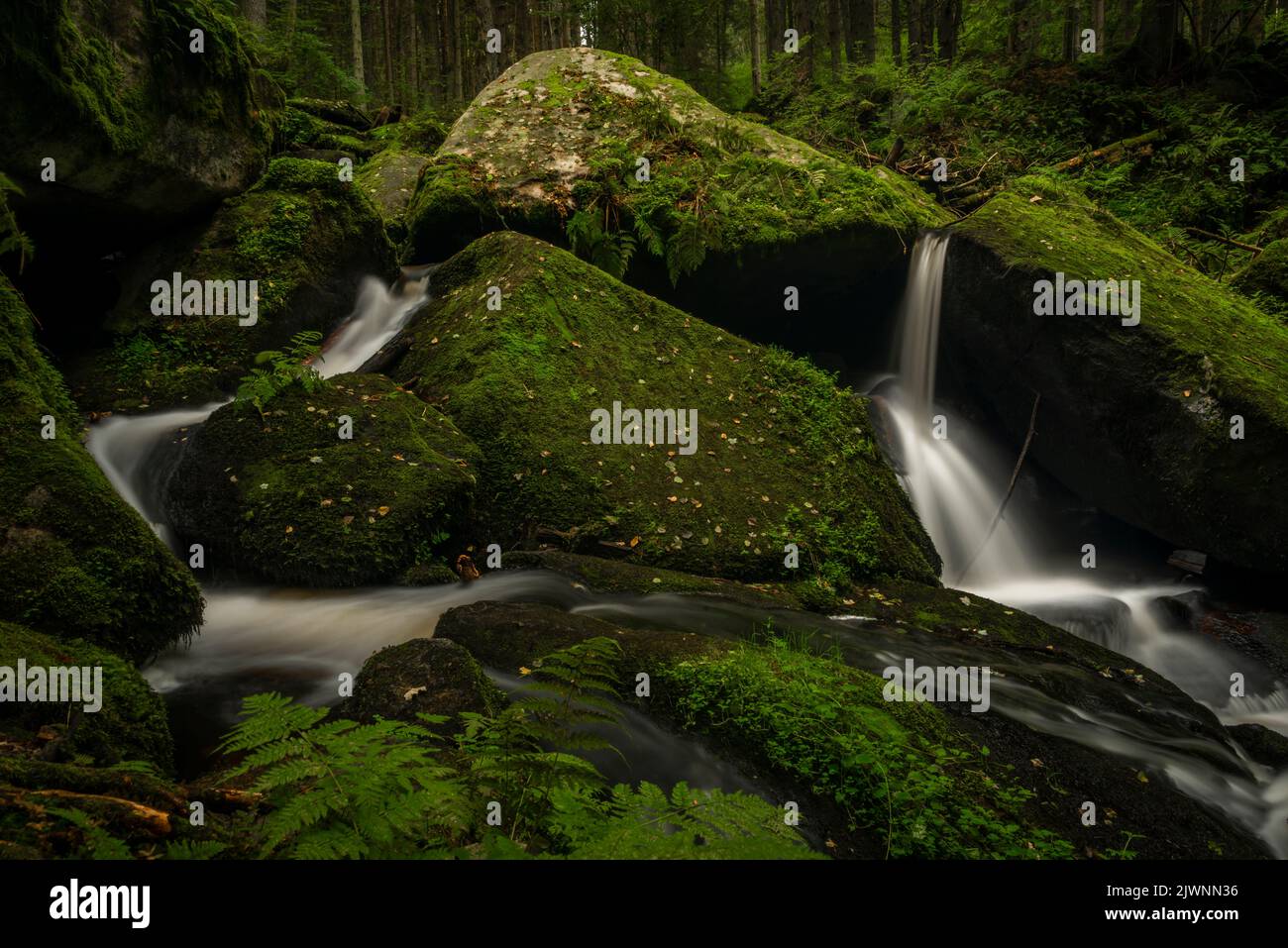 Cascata di San Wolfgang nei pressi della città di Vyssi Brod nella Boemia meridionale vicino al confine con l'Austria Foto Stock