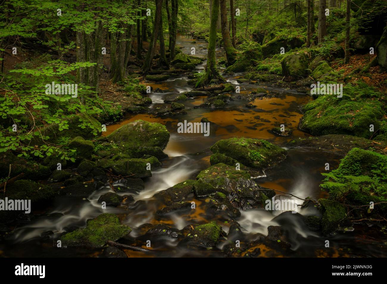 Cascata di San Wolfgang nei pressi della città di Vyssi Brod nella Boemia meridionale vicino al confine con l'Austria Foto Stock