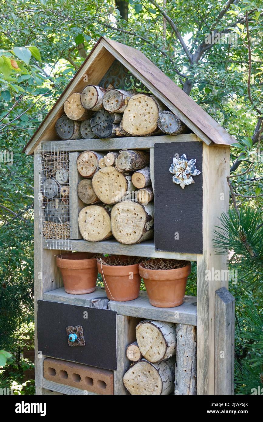 vista laterale di ricovero di insetto per api impollinatrici Foto Stock