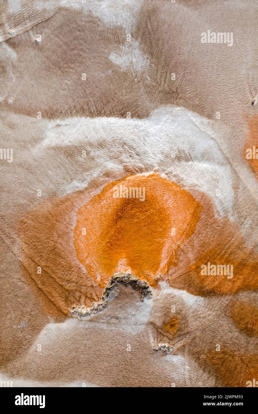 WY05027-00....WYOMING - dettaglio di geyser runnoff nel bacino superiore del Geyser della zona Old Faithful del Parco Nazionale di Yellowstone. Foto Stock