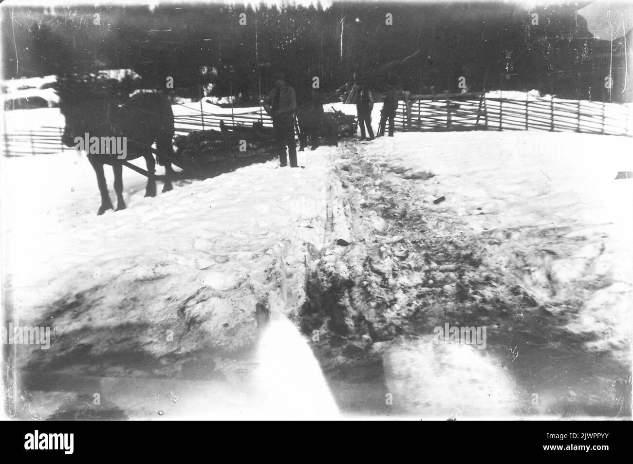 Guida del legno. Timmerkörning. Foto Stock
