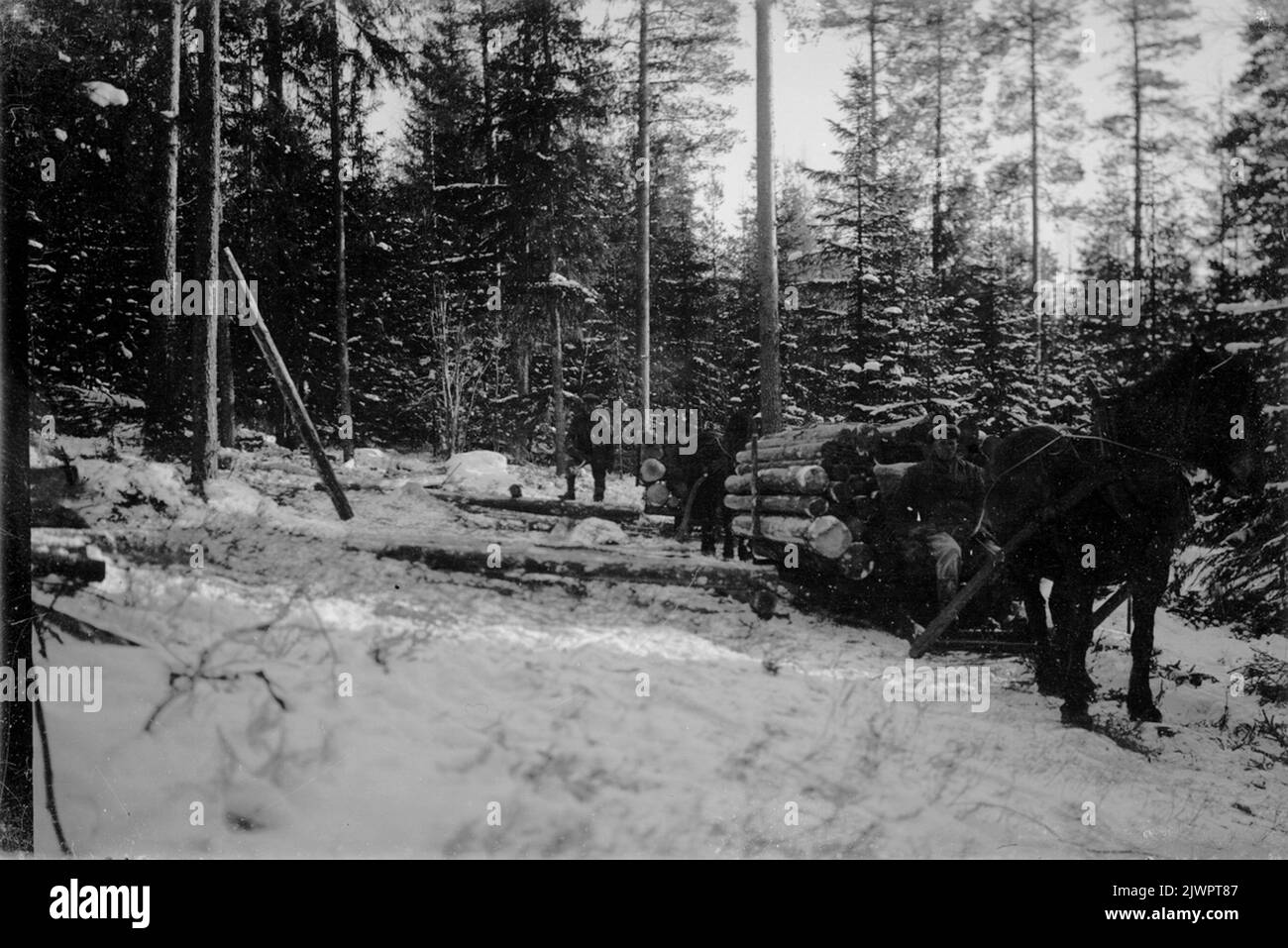 Guida del legno. Timmerkörning. Foto Stock