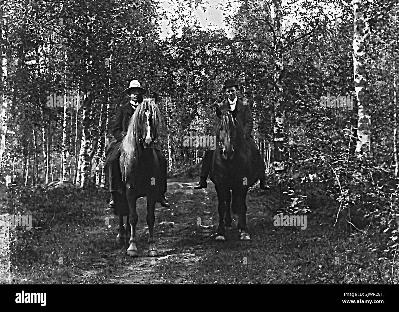 Escursione a cavallo. Ridutflykt. Foto Stock