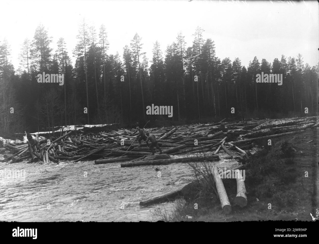 Galleggiante. Foto nel 1929. Flottning. Foto år 1929. Foto Stock