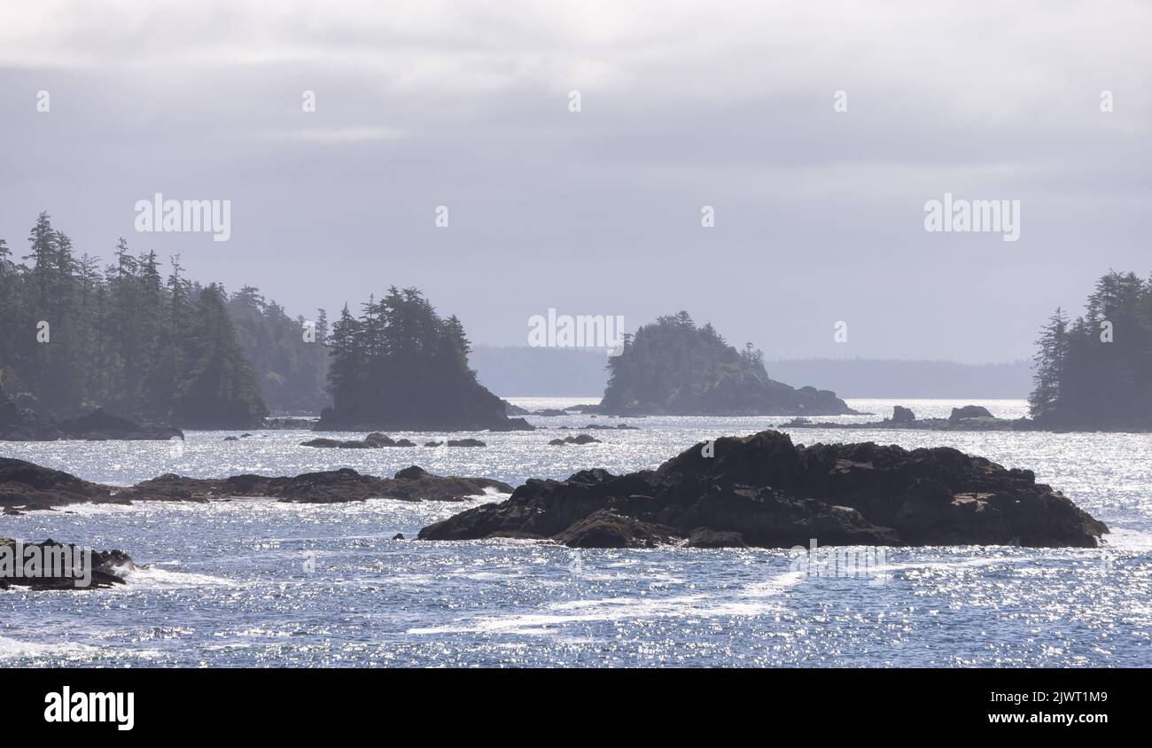 Rocce aspre su una costa rocciosa sulla costa occidentale dell'Oceano Pacifico. Foto Stock