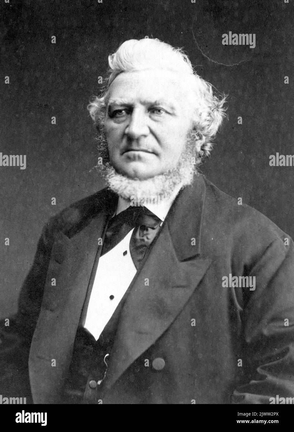 Il grossista A. M. Hedberg.Born 16 agosto 1819, è morto 28 maggio 1882. Donato la città delle fontane nel comune Planade. Hedberg.född 16 augusti 1819, död 28 maj 1882.Skänkte staden fontänerna i Rådhusesplanaden. Foto Stock