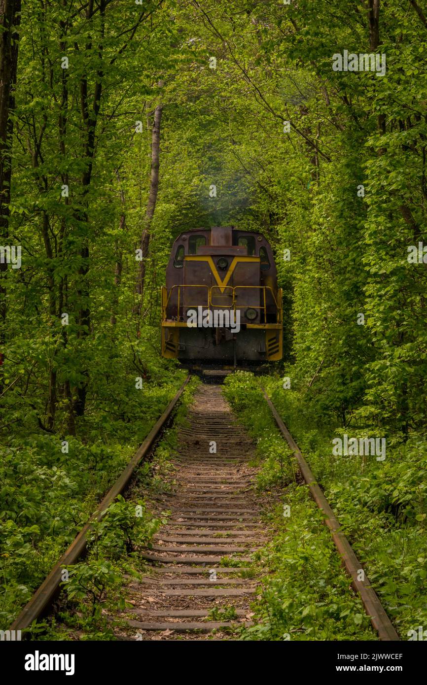 Tunnel d'amore Klevan , Ucraina Foto Stock