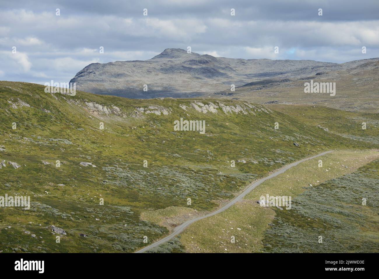 Strada di ghiaia attraverso il paesaggio di montagna, Norvegia Foto Stock