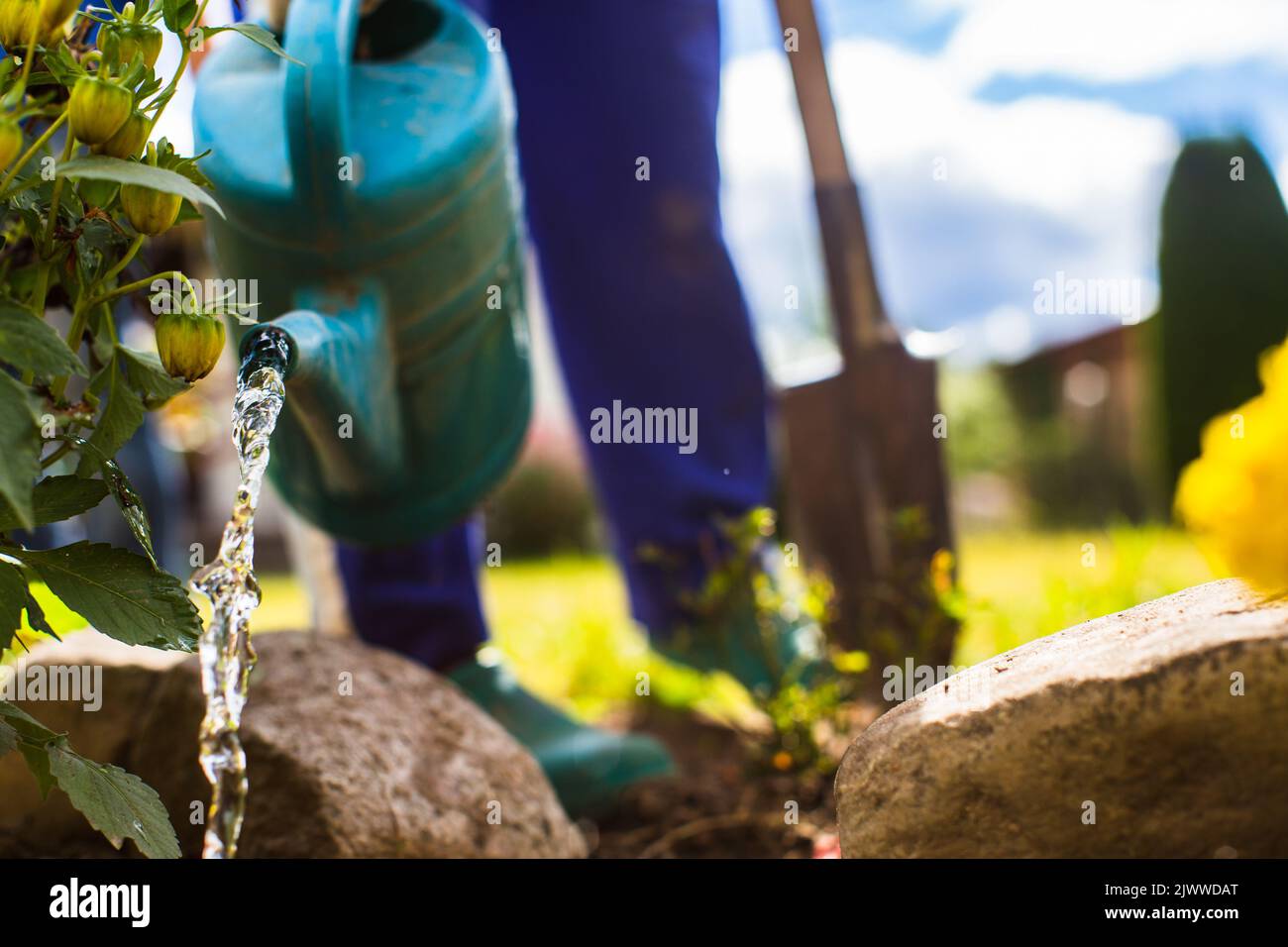 Piantare fiori da un agricoltore nel letto del giardino di una casa di campagna. Giardino stagionale concetto di lavoro. Primo piano delle mani Foto Stock